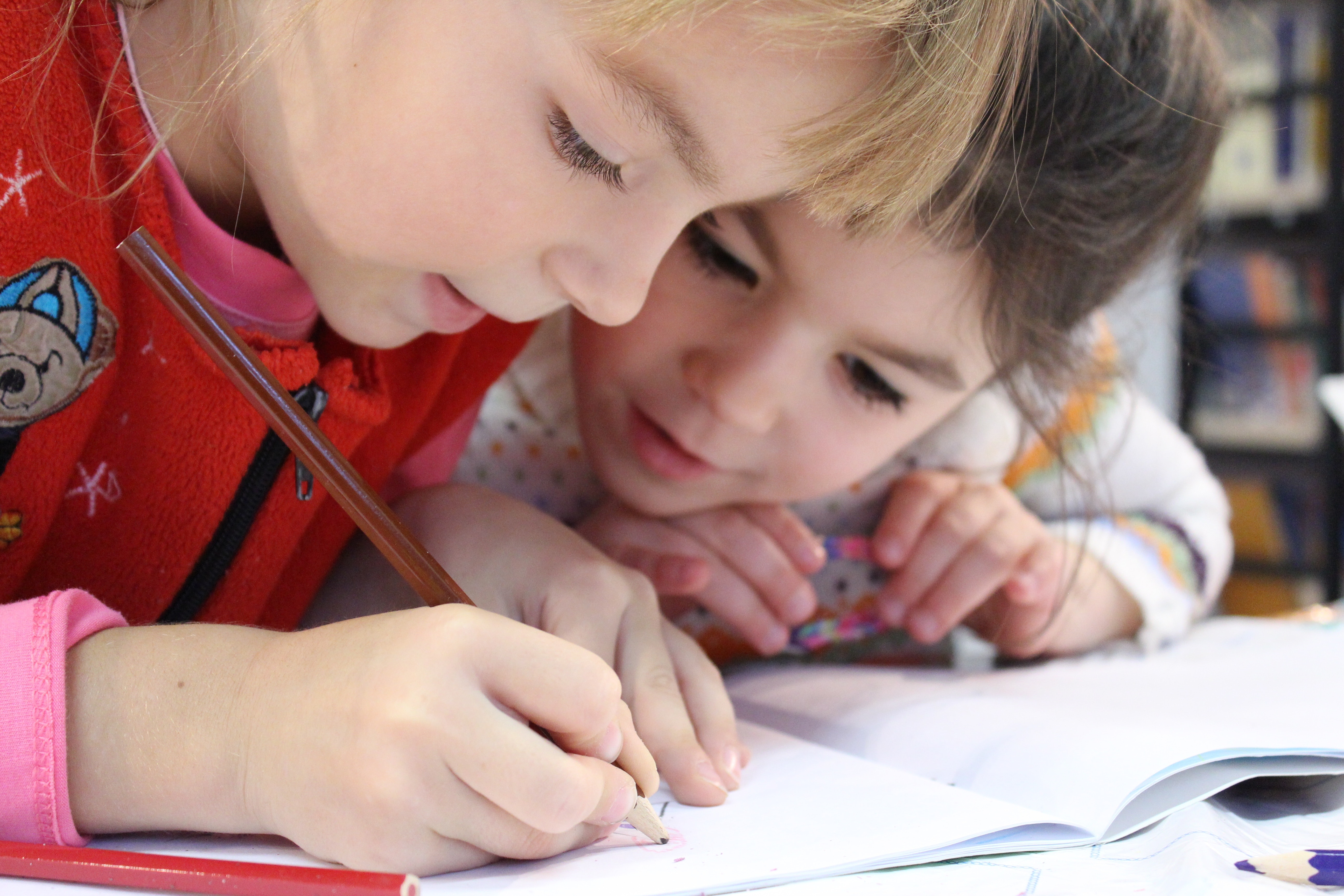 Schüler lernen Abläufe zu begreifen